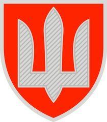 Нарукавний знак військової служби правопорядку