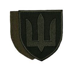 Нашивка Сухопутні війська ЗСУ | Олива